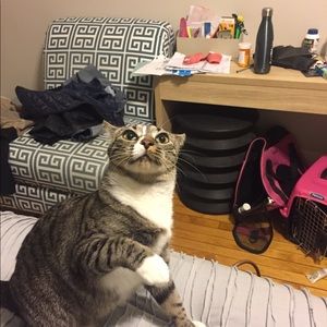 Meet your Posher, Emily